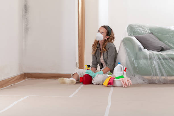 Reliable Mold Testing contractor in Kenmore, WA by WQB Mold Removal
